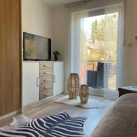 Tolle Mit Loggia In 100qm Bei Hof An Der Saale Frankenwald *