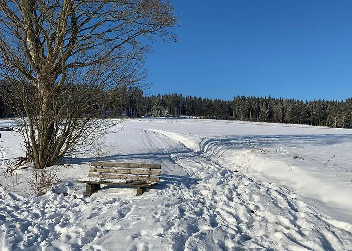 Tolle Mit Loggia In 100qm Bei Hof An Der Saale Frankenwald Διαμέρισμα *